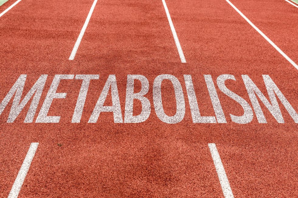 Help Your Metabolism to Fix Itself